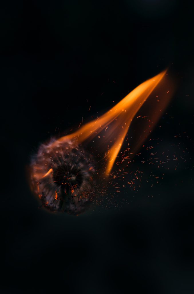 Photo 15 – You have eyes like a flaming fire