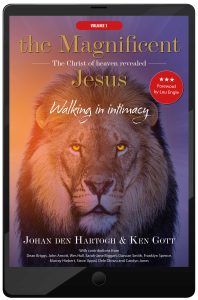 The Magnificent Jesus E-book